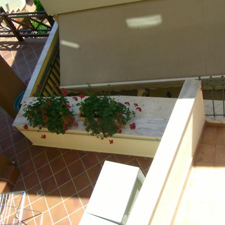 Kripis Studio Thessaloníki Rom bilde